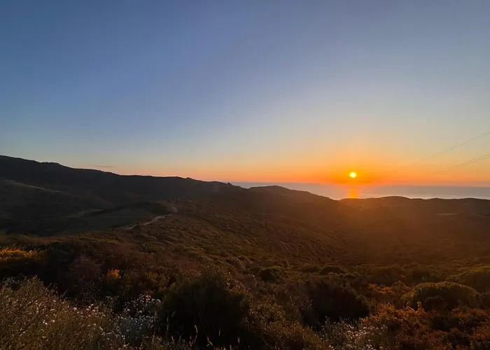 Monte Allegru * Palmadula